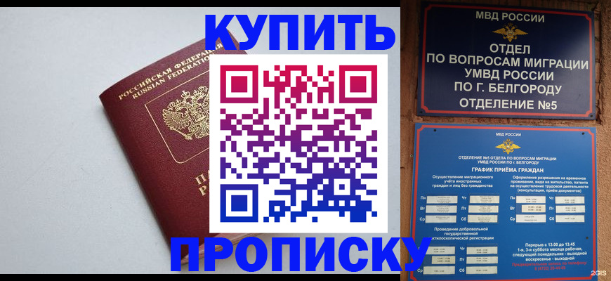 прописка регистрация в Коле